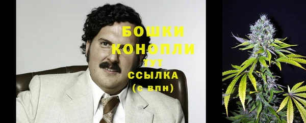 стаф Каменка