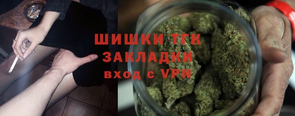 2c-b Инсар