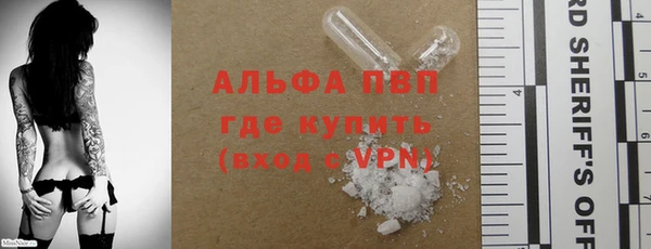 стаф Каменка