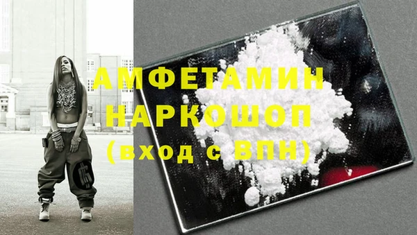 стафф Каменногорск