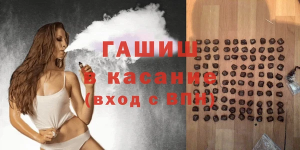 стаф Каменка