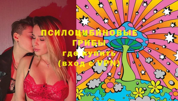 стафф Каменногорск