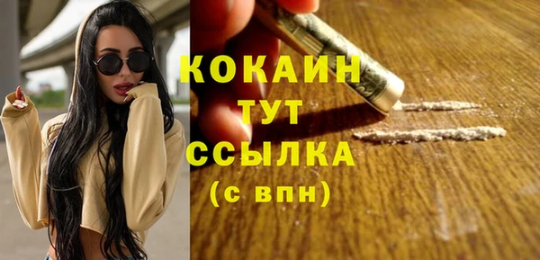 стаф Каменка