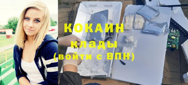 стафф Каменногорск