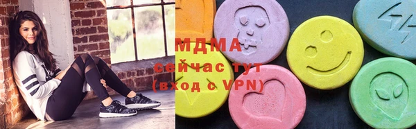 стаф Каменка