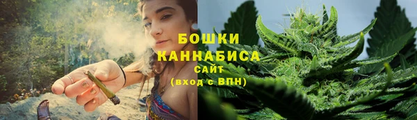 стафф Каменногорск