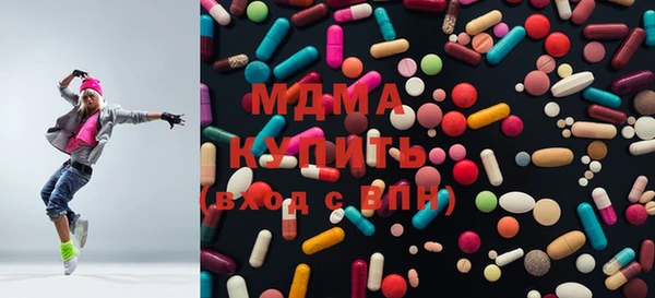 стаф Каменка