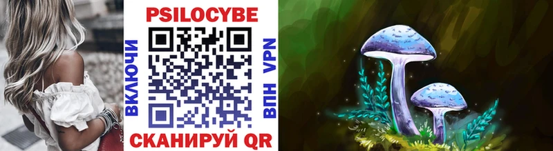 Галлюциногенные грибы Psilocybe  Новозыбков 