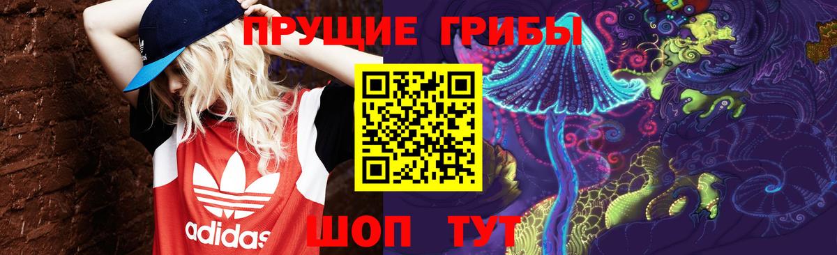Новозыбков  Псилоцибиновые грибы MAGIC MUSHROOMS  где купить наркоту  Вход с VPN  Галлюциногенные грибы MAGIC MUSHROOMS 