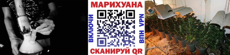OMG tor  Новозыбков  Канабис сатива 